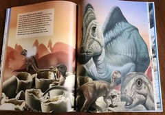 Dinosaurs Through Time by Rupert Matthews Hard Back Book