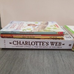 Lot of 10 Mixed Random Children’s Books and Young Adult Novels, Classic Stories