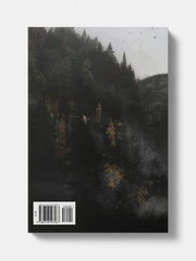 The Hunger of the Gods (Deluxe Limited Hardcover Edition) by John Gwynne: New