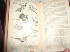 HODGMAN’S HANDY BOOK OF SPORTSMEN’S SECRETS COPYRIGHT 1946 VINTAGE 168 PAGES