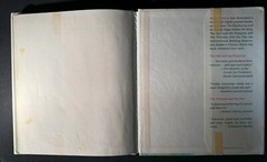 The Tortoise and the Hare by Janet Stevens 1984 HC/DJ 1st Edition