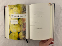 The Familiar Volume 1 One Rainy Day in May Mark Z. Danielewski 1st Ed. 1st Print