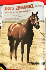 1979 Quarter Horse Journal, Book, STALLION EDITION! – KIDNAP BAR – ZAN PARR BAR