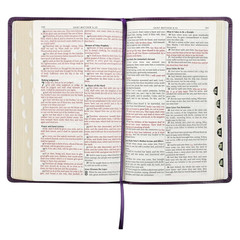 KJV Holy Bible, Standard Size Faux Leather Red Letter Edition Thumb Index & Ribb