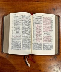 RARE: Charles Ryrie Study Bible NKJV, Premium American Bison Leather Binding