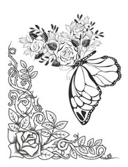 Best Butterfly Coloring Book with Floral Wings 108 Pages 8.5 x 11 for All Ages