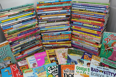 Lot of 30 Children’s Kids Chapter Books Instant Library Variety Bundle
