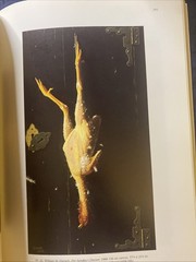 William M. Harnett- Metropolitan Museum Of Art Book (1992, SC) Mint Copy