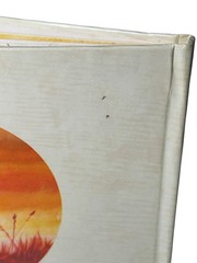 1979 THE POP-UP BOOK OF GNOMES by Rien Poortvliet & Wil Huygen Abrams Whimsical