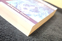 NEW Voyagers Vol II „Secrets of Amenti”by Ashayana Deane, 2nd New 2025 OWN IT!