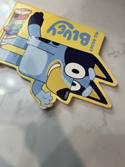 All About Bluey (Bluey) Illustrated Board Book 2024, Ages 2-3 & 4-8