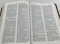 THE JACK VAN IMPE PROPHECY BIBLE Limited Special Edition KJV Red Letter LEATHER