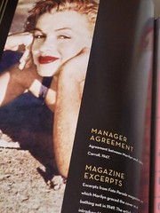 The Marilyn Monroe Treasures by Jenna Glatzer Hardcover 175 Pages Artifacts Book