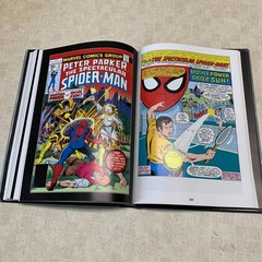 Spectacular Spider-Man Volume 1 Col #1-15 Marvel Masterworks HC Hard Cover