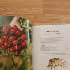 Self-Sufficient Living Book Step-By-Step Make Cheese Shampoo Butter Tips Tricks