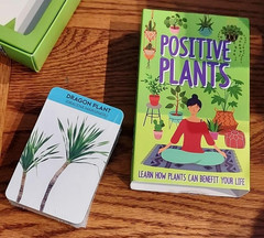 Positive Plants Learning Cards to Improve Your Well Being, Sleep and Relaxation