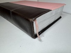 Life Application Study Bible New Living Translation – Pink / Brown Cover + Case