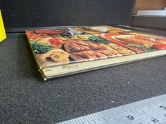 Vintage Panasonic Microwave Oven Cookbook 1974 recipes color pictures 138 pages