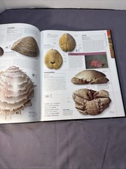 Dinosaurs & Prehistoric Life: The Definitive Visual Guide to Prehistoric Animals