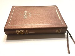 Korean Bible – Revised Korean Standard Version – Brown Metallic Etched Vinyl