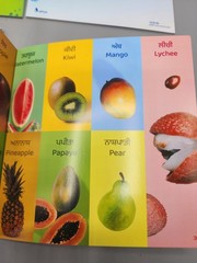 Punjabi Rang Childrens Educational Kids Books Lot of 8