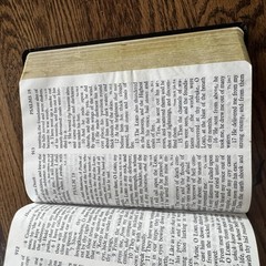 Holy Bible Premium Bonded Leather B&H KJV Giant Print Edition Red Letter 1982 Bl