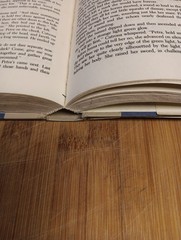 The Books of Great Alta by Jane Yolen (1989, hardcover)
