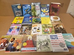 Lot of 100 Chapter INSTANT LIBRARY Children RANDOM~MYSTERY BOX~UNSORTED BOOK MIX