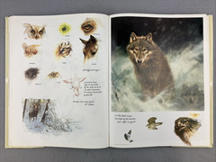 NOAH’S ARK English Edition by Rien Poortvliet Illustrated Oversized HC/DJ
