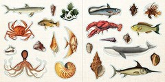 Loads of Ephemera Sticker Book (Over 580 stickers!)