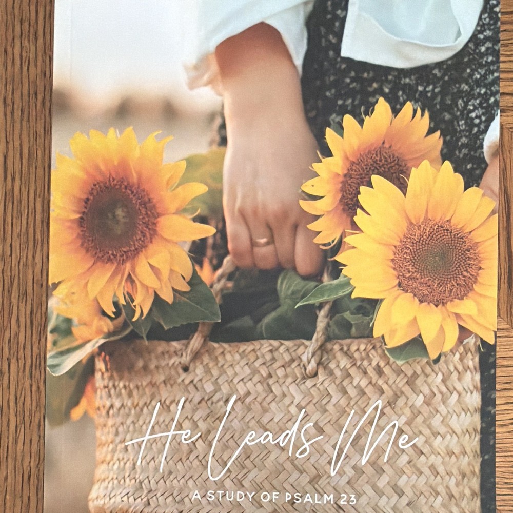 The Daily Grace Co. He Leads Me: A Study of Psalm 23 Kristin Schmucker PB 2017