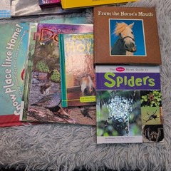 Bulk Lot of Mixed Books Various Authors & Genres Childhood Homeschool Learning