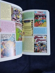 THE SECRET HISTORY OF WONDER WOMAN Softcover Book Jill Lepore Comics Feminism EX