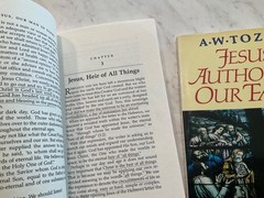6 Lot A. W. Tozer – Jesus Our Man in Glory, Deeper Life, Incredible Christian