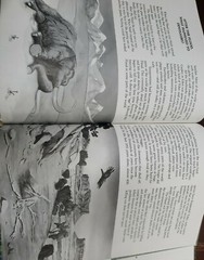 Great Dinosaur Mystery and the Bible, Hardcover by Taylor, Paul S., Brand New…