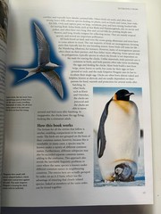 Encyclopedia of Birds: 400 Species from Around the World 448 Pages 9″x12″