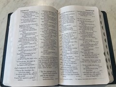 NIV Bible 1984 Large Print Reference Navy Bonded Leather Red Letter Text