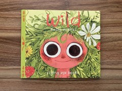 Wild – Emily Hughes – Hardcover – Flying Eye Books