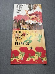 Lot Of 10 Oversized Classroom Teacher Big Books Easel Lionni Heller Carle