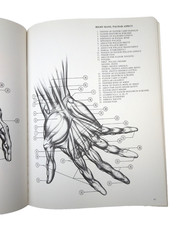 BOOK Drawing Dynamic Hands BURNE HOGARTH