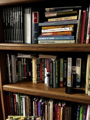 Books by Genre 10~Pound BOOKs Lot Sorted Fiction/Nonfiction CHOOSE YOUR CATEGORY