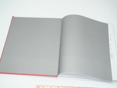 DeLorean Motor Company Hardcover Book – 192 Pages by Matt Stone