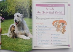 Used Book KISS Guide To Living With A Dog 2001 Paperback 415 Pages Very Good DK