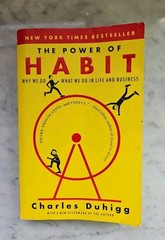 The Power of Habit: Why We Do What We Do in Life and Business by Charles Duhigg