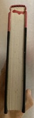 The Loser by Thomas Bernhard and Thomas Bernhard (1991, HCDJ) 1st American Edit.