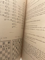 Wilhelm Steinitz 1889 The Modern Chess Instructor Hardcover Book VG Putnam Rare
