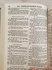 Bible Latin / English The New Testament Clementine Vulgate & Challoner Rheims