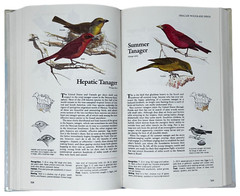 Reader’s Digest Book of North American Birds 1990 600 Species 576 Pages Illos