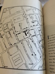 The Ghost Map: Teh Story of London’s Most Terrifying Epidemic by Steven Johnson