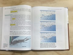 Amsco Earth Science The Physical Setting 2nd Ed HC Textbook by T. McGuire 2015